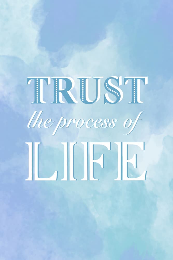 Trust The Process Life by Martina — canvas wall art
