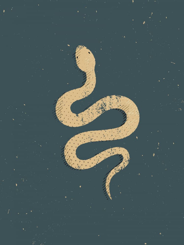 Dark Grunge Snake by The Creating Mind — canvas wall art