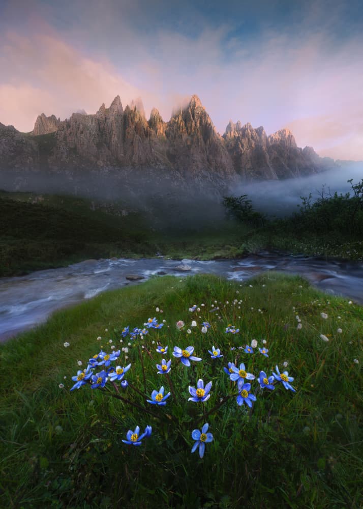 Alpine Dawn Blue Flowers by Leah Xu — canvas wall art