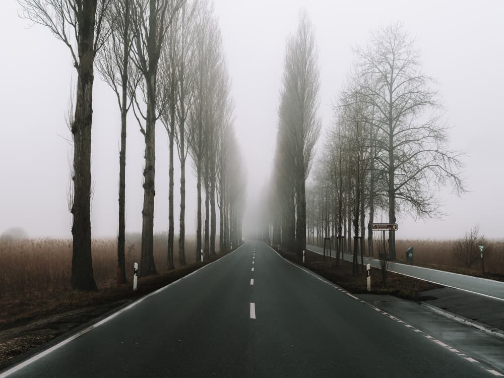 Long Foggy Road by Franz Baumann — canvas wall art