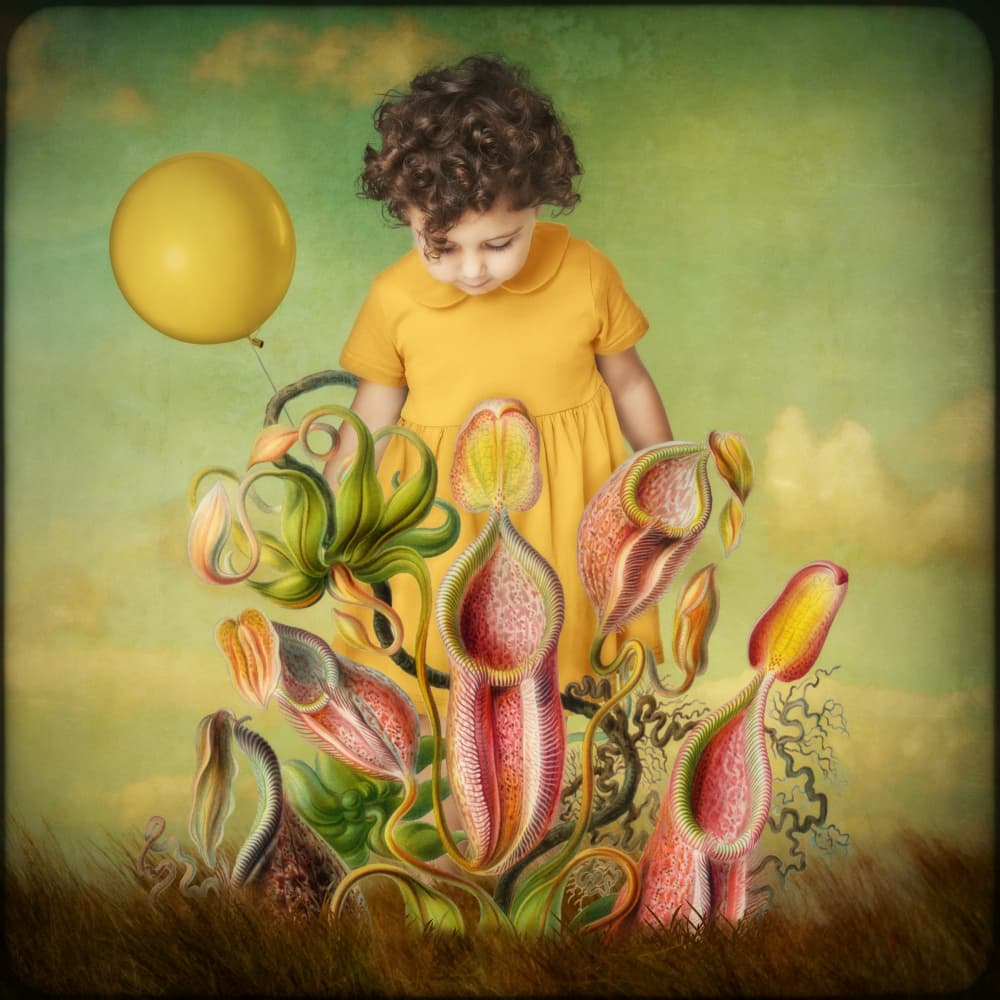 Curious Child's Fantasy Garden by Marja van den Hurk — canvas wall art