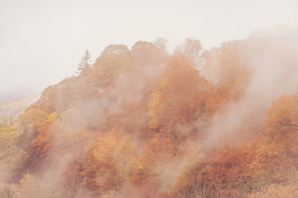 Misty Autumn Mountains by Courtney Crane — canvas wall art