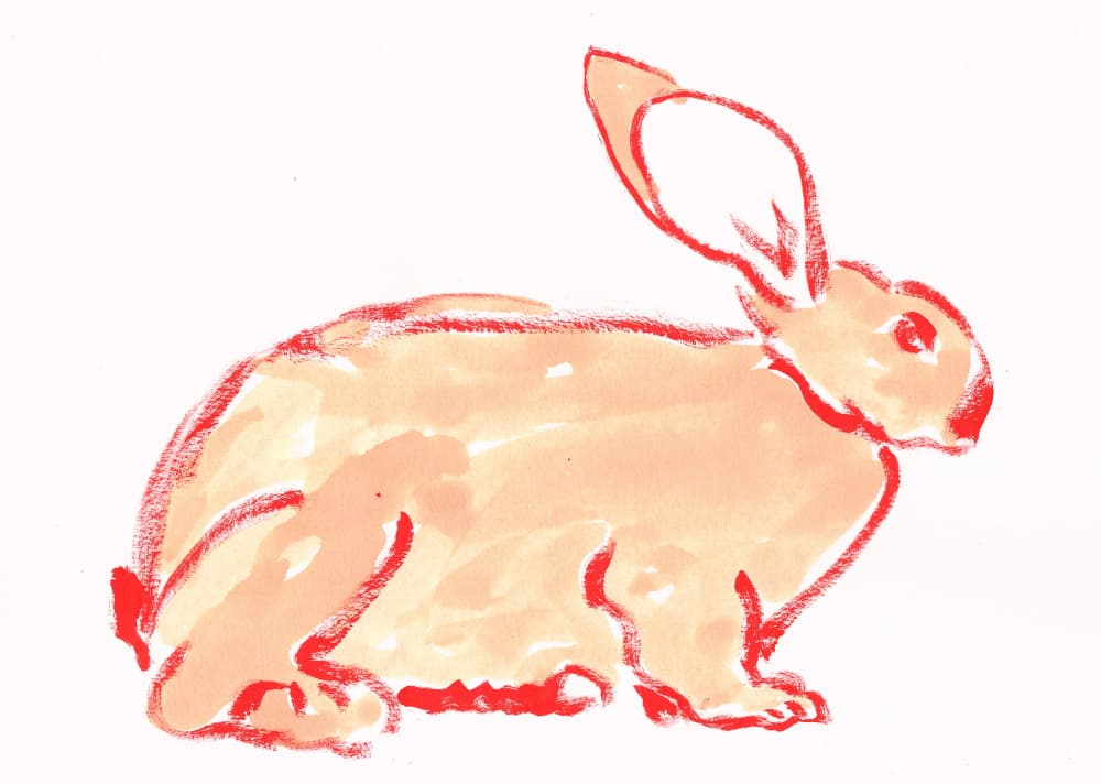 Warm Orange Rabbit by Santhosh ch — canvas wall art