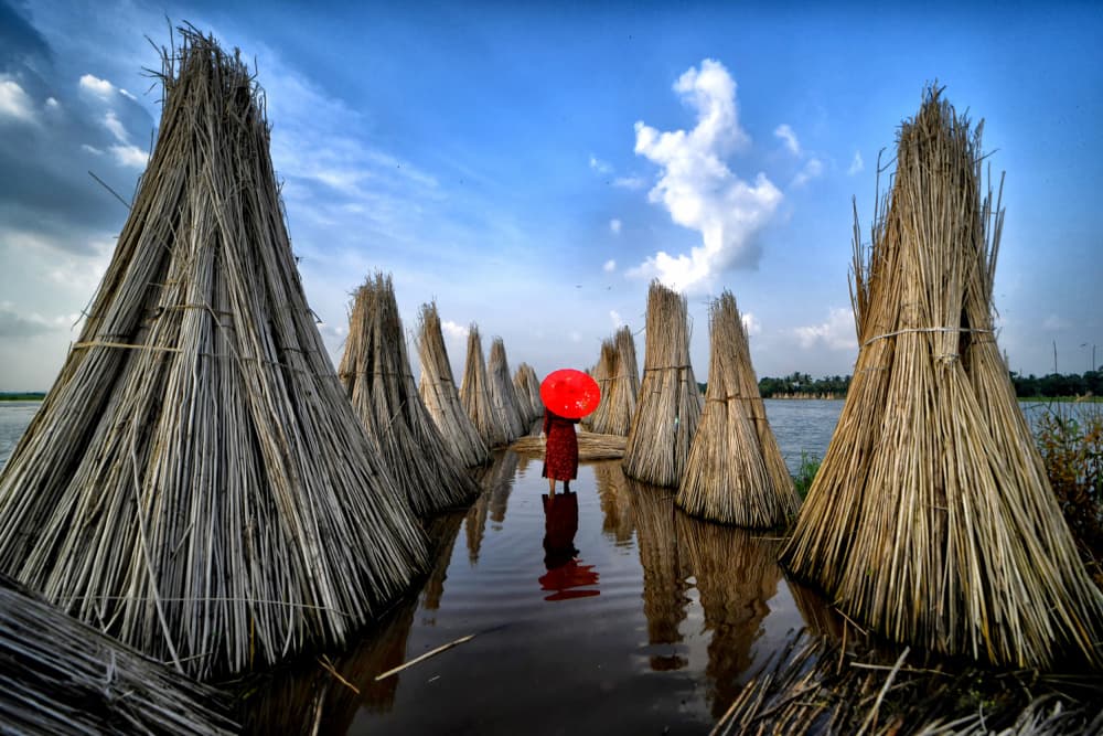 Red Umbrella Path by Avishek Das — canvas wall art