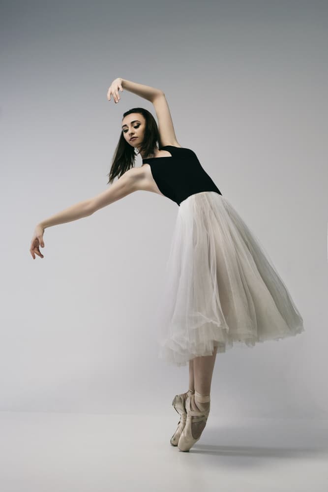 Graceful Ballet Dancer by Alexandr — canvas wall art