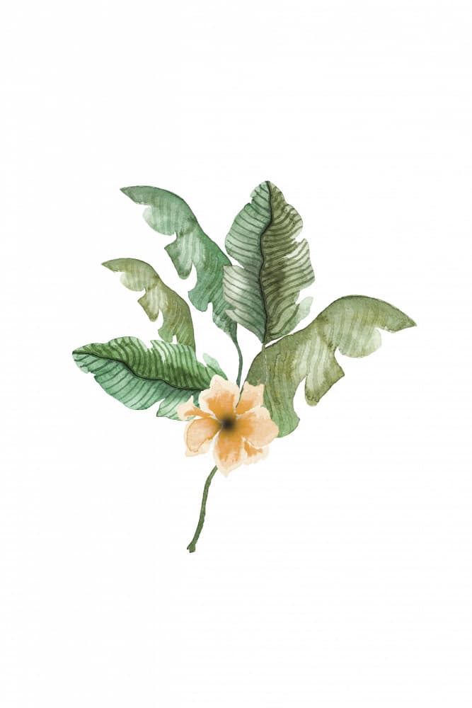 Tropical Leaves Peach Bloom by Karen Menzenbach — canvas wall art