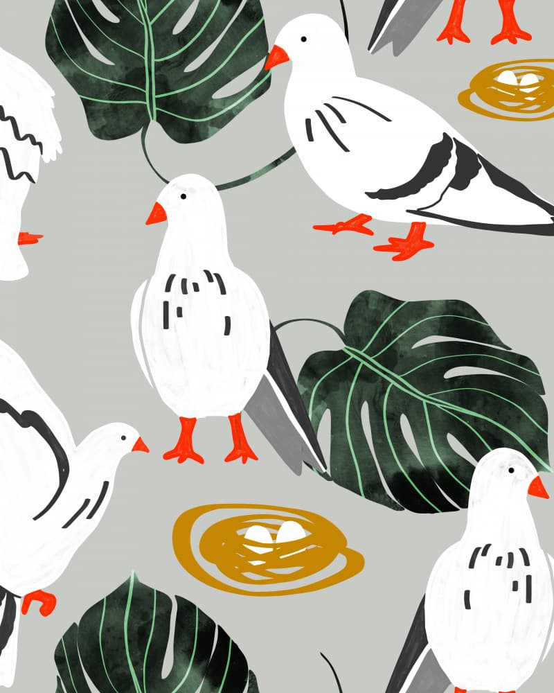 White Pigeons Tropical Pattern by Uma Gokhale — canvas wall art