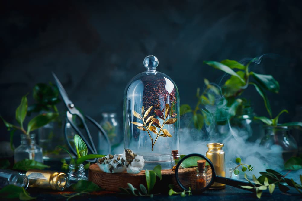 Dark Botanical Alchemy by Dina Belenko — canvas wall art