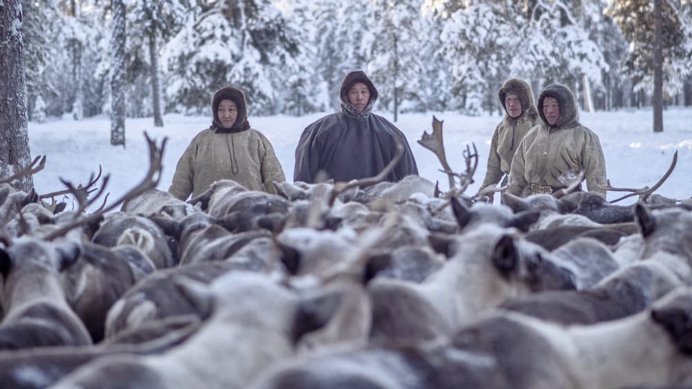 Winter Reindeer Herders by Marcel Rebro — canvas wall art