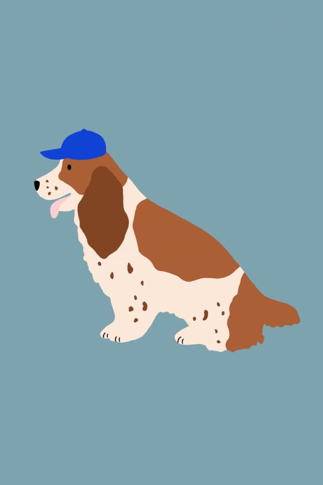 Cocker Spaniel with Cap by Maren Gross — canvas wall art