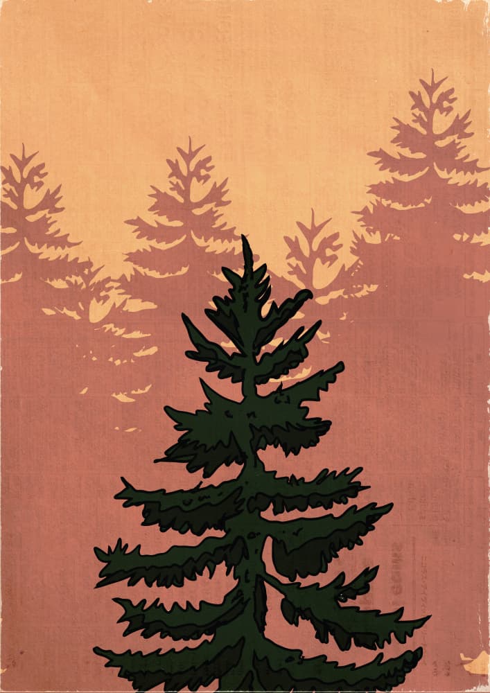 Misty Evergreen Forest by Nicholas — canvas wall art