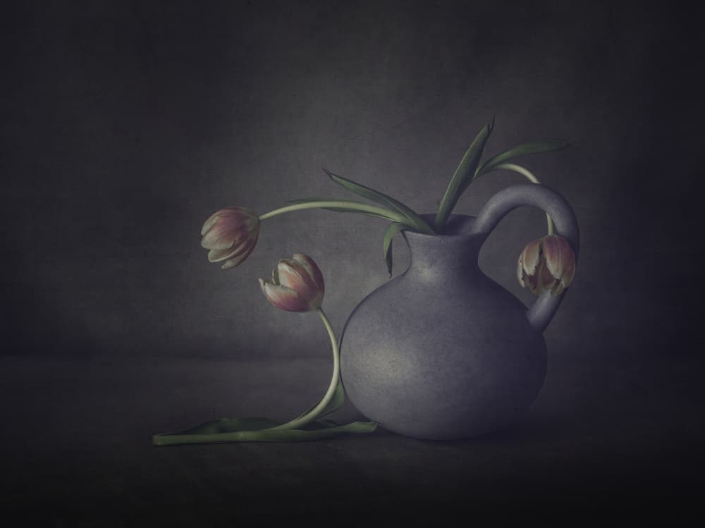 Moody Tulip Still Life by May G — canvas wall art