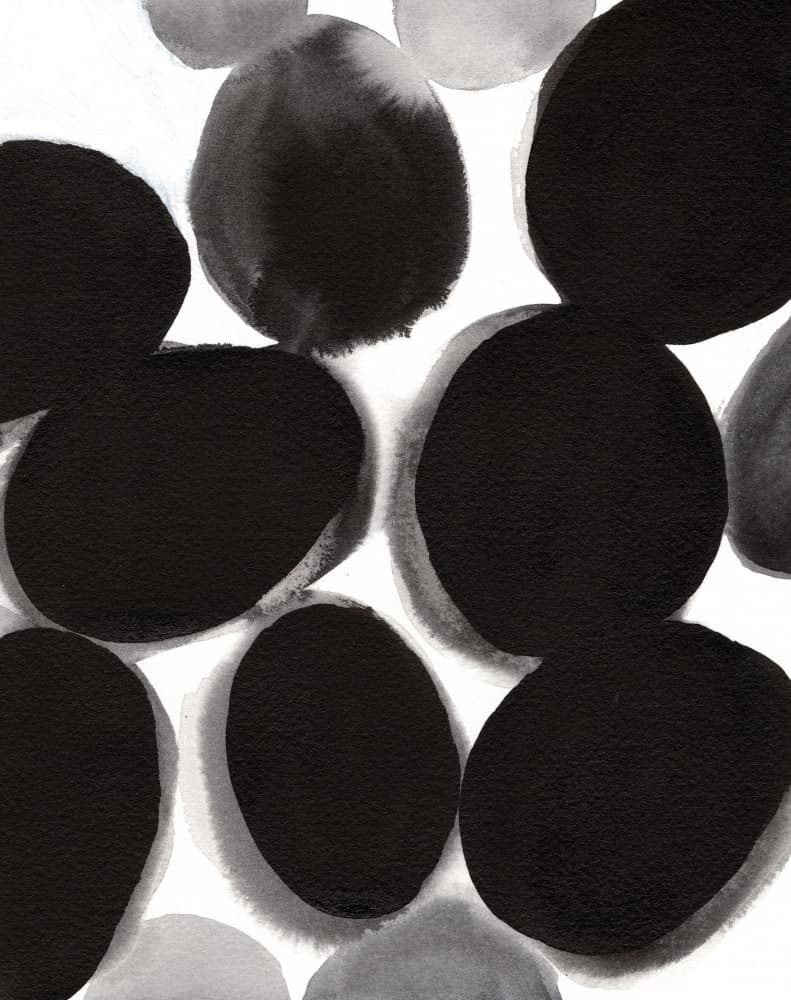 Monochrome Organic Shapes by Janel Bragg — canvas wall art