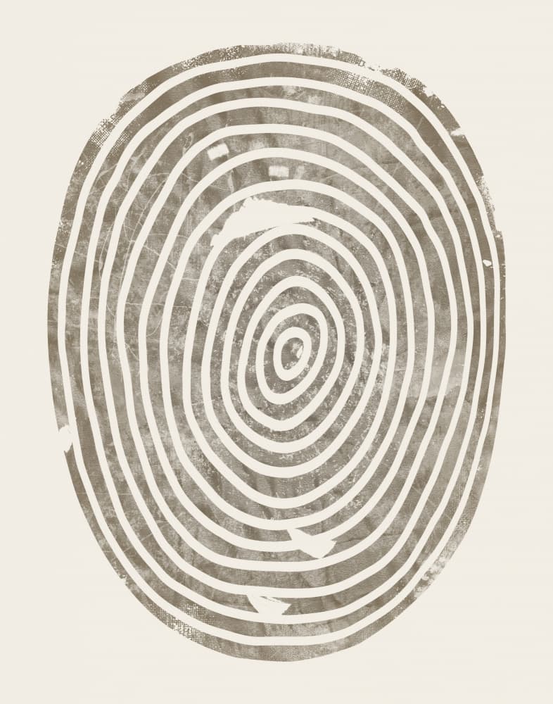 Abstract Tree Rings by Ema Paraschiv — canvas wall art