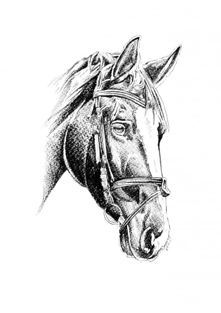Elegant Horse Portrait by Kulik — canvas wall art