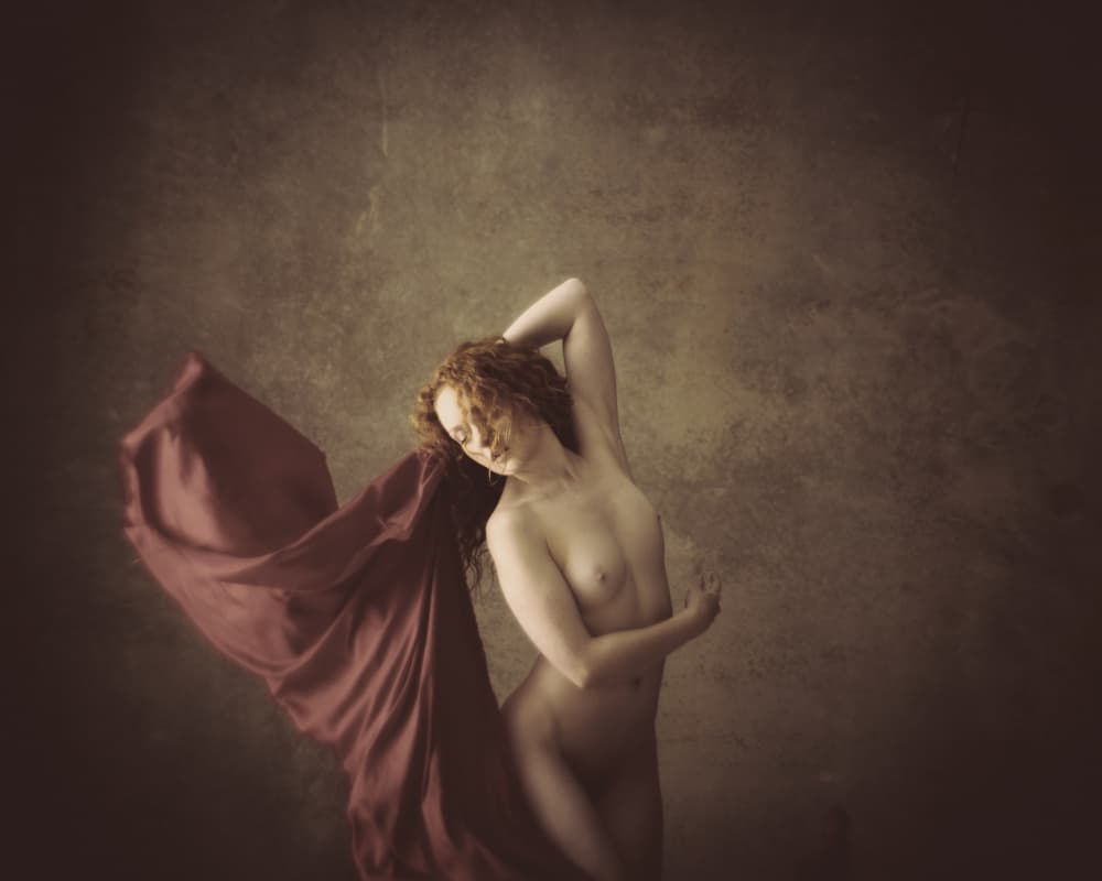 Redheads rule by Mel Brackstone — canvas wall art