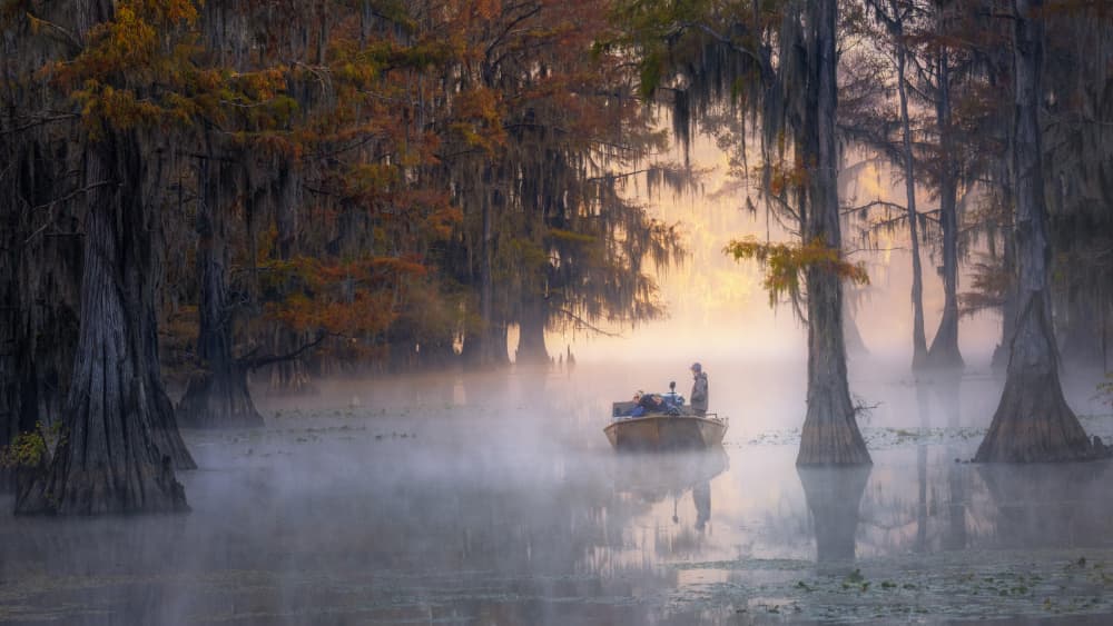 Misty Swamp Fishing by Ti Wang — canvas wall art