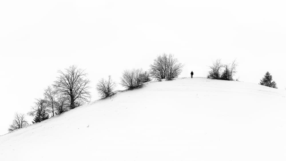 Solitary Snow Journey by Marius Cinteza — canvas wall art