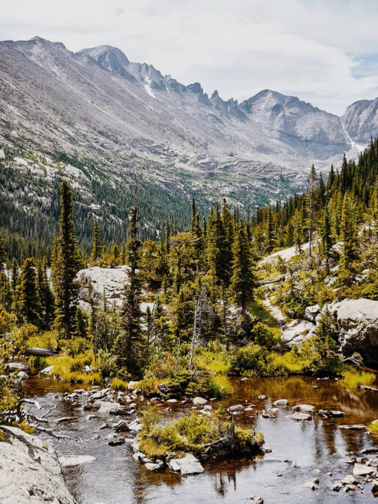 Rocky Mountain Stream by Del Mundo Imagery — canvas wall art