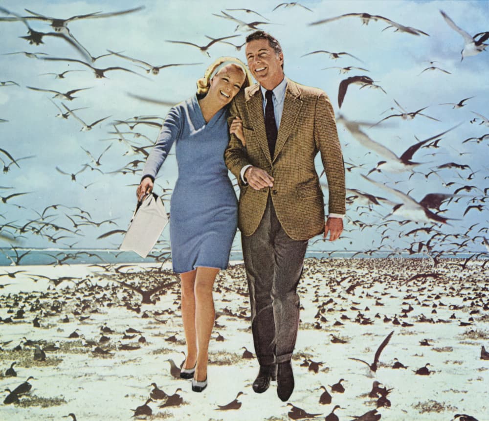 Happy Couple Beach Birds by Mikhail Siskoff — canvas wall art