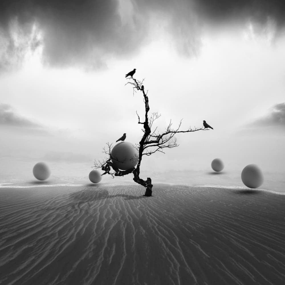 Mysterious Shoreline Eggs by Hadi Malijani (Malenjani) — canvas wall art