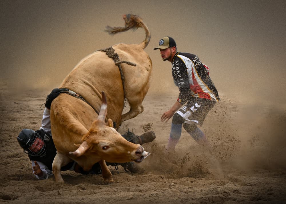 Rodeo Bull Action by Yuanwei Zuo APA — canvas wall art