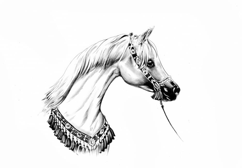 Horse Art Drawing Sketch 16 by Kulik — canvas wall art