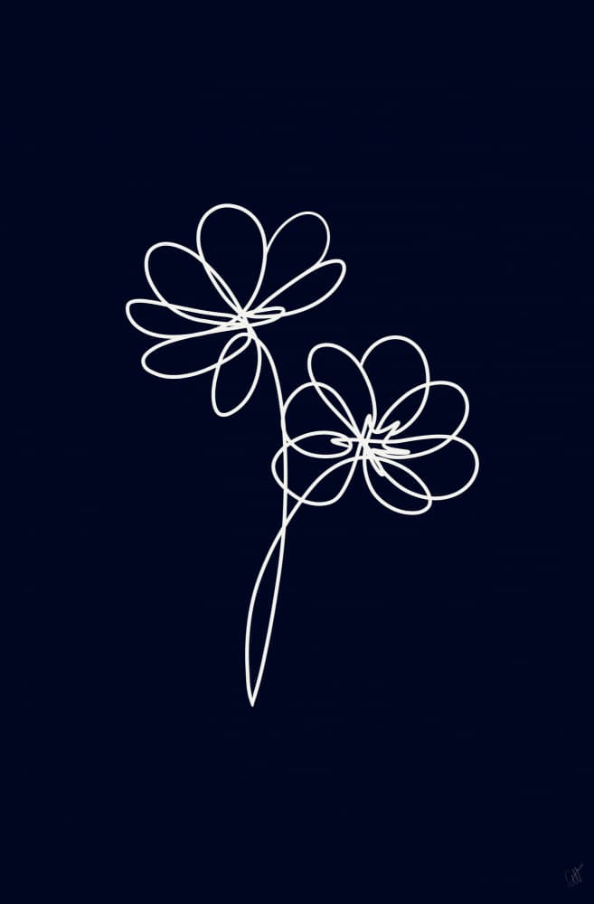 Elegant Floral Line Art by Anne-Marie Volfova — canvas wall art