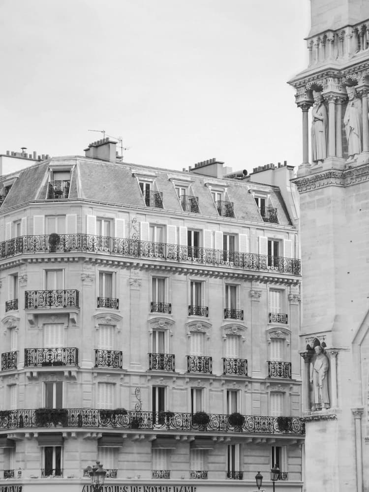 Classic Paris Facade by Talitha McQueen — canvas wall art