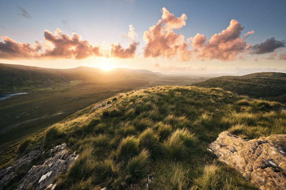 Soft Meadow by Stefan Hefele — canvas wall art