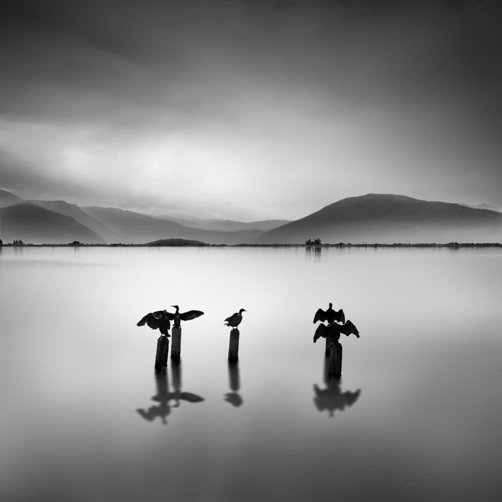 Tranquil Lake Birds by George Digalakis — canvas wall art