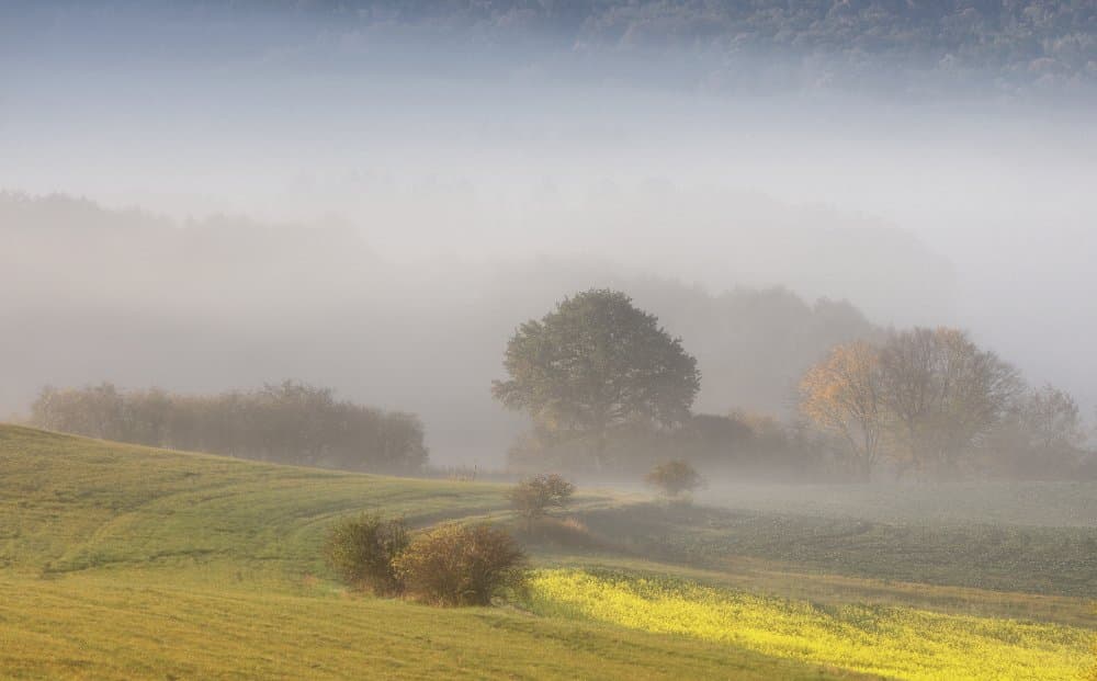 Misty Morning Landscape by Garik — canvas wall art