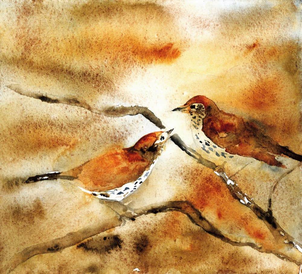 Watercolor Birds On Branch by RodMacIver — canvas wall art