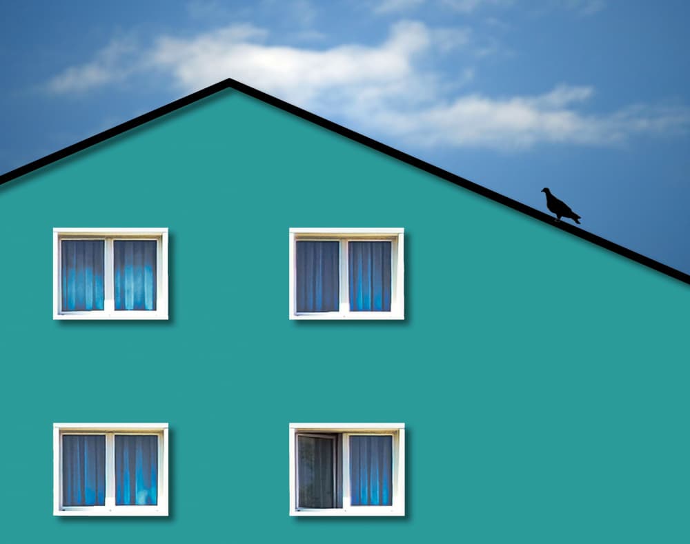 Lone Bird on Teal House by Raffaele Corte — canvas wall art