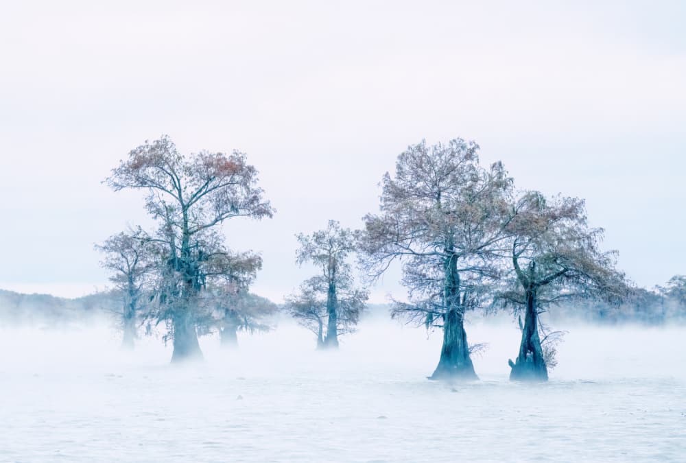 Tranquility by Ruiqing P. — canvas wall art