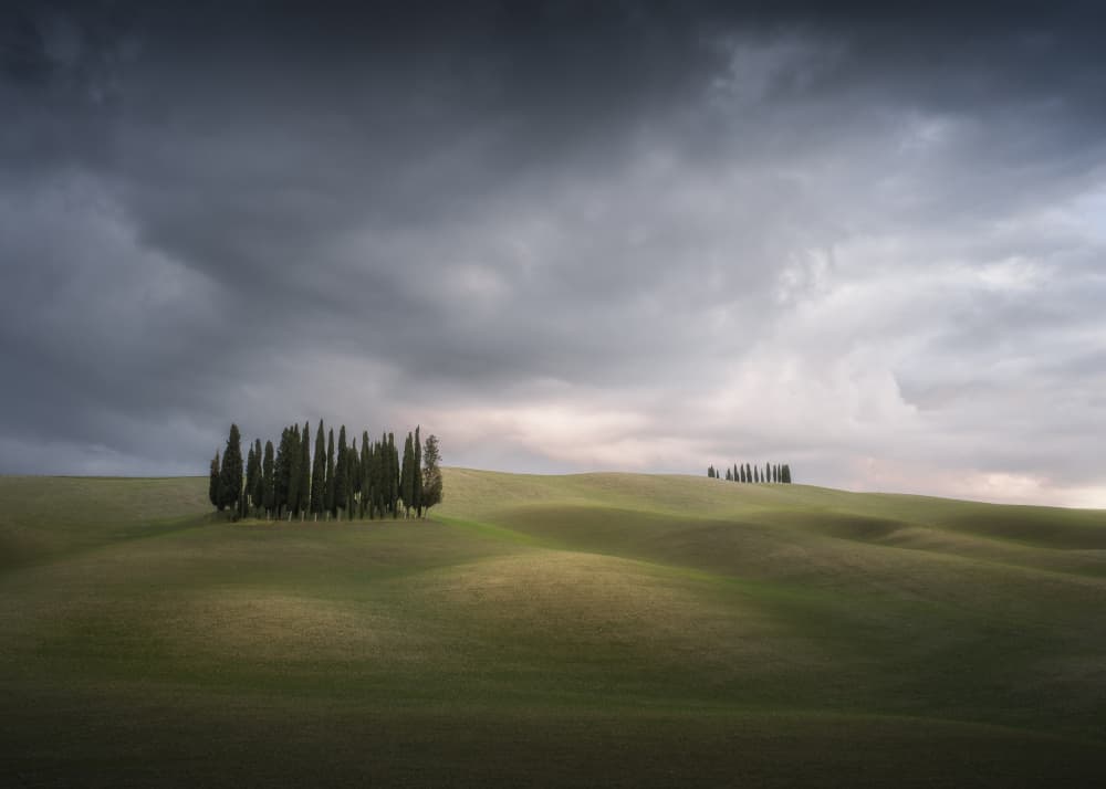 Tuscan Cypress Landscape by Andrea Maestosi — canvas wall art