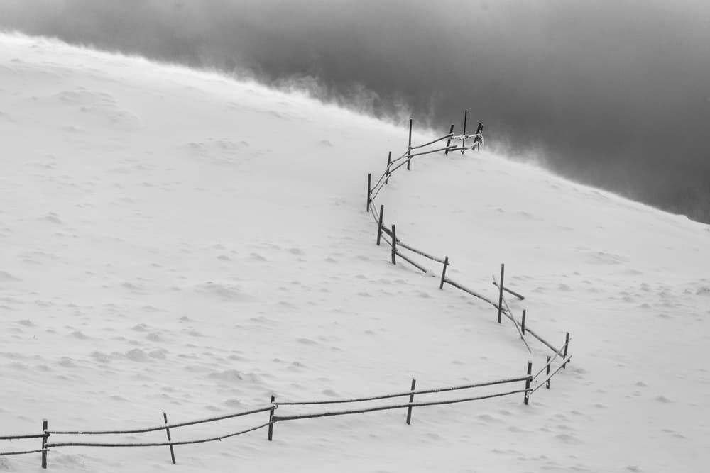 Windswept Winter Fence by Sveduneac Dorin Lucian — canvas wall art
