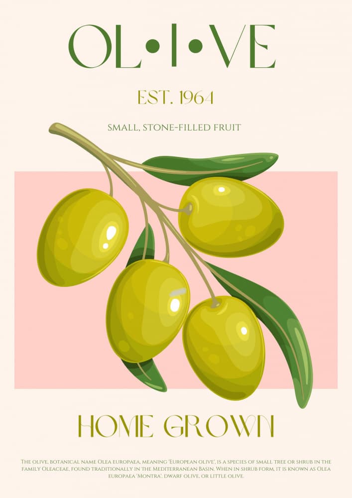 Home Grown Olives by Nazma Khokhar — canvas wall art
