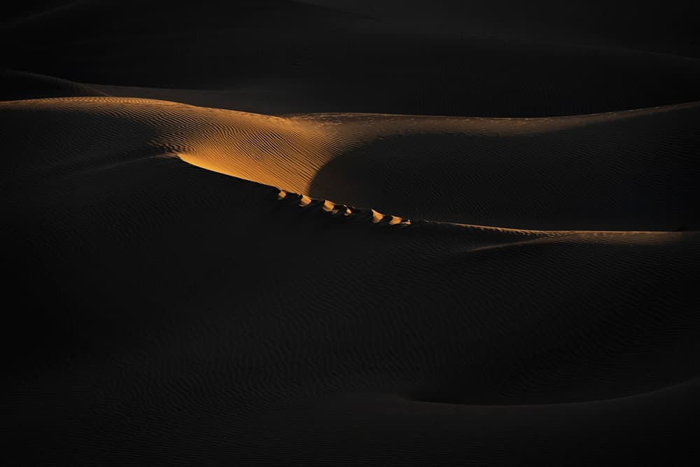 Golden Desert Dunes by Lydia Jacobs — canvas wall art