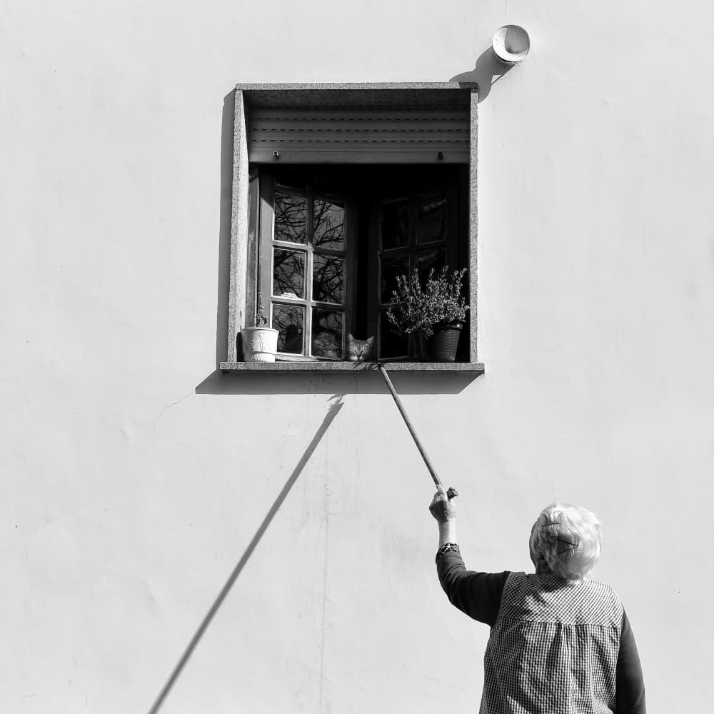 Old Woman And Curious Cat by Jorge Pimenta — canvas wall art