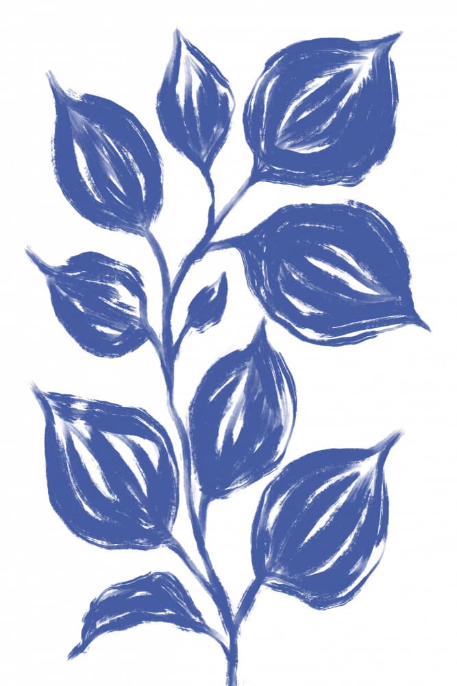 Blue Botanical Study by Martina — canvas wall art