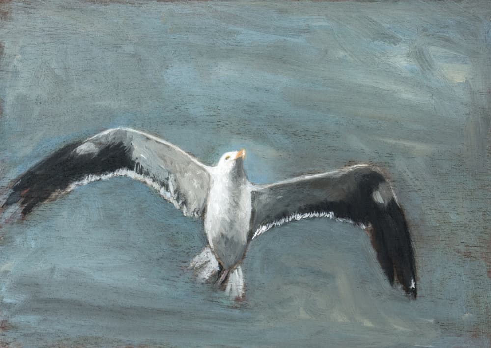 Soaring Grey Seagull by Claire Lerner — canvas wall art