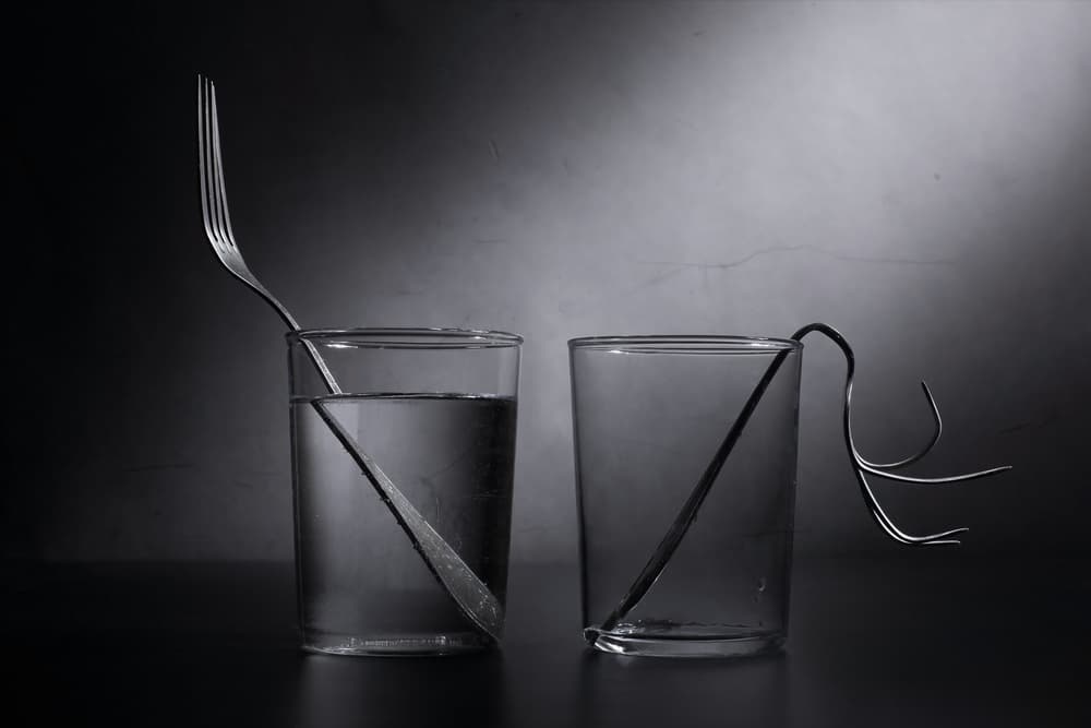 Forks of Perception by Victoria Glinka — canvas wall art