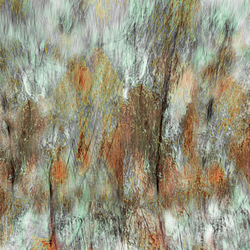 Earthy Woodland Strokes by Christina Sillen — canvas wall art