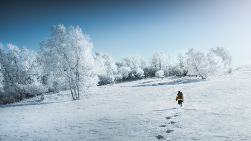Solitary Winter Hike by Yuan Cui — canvas wall art