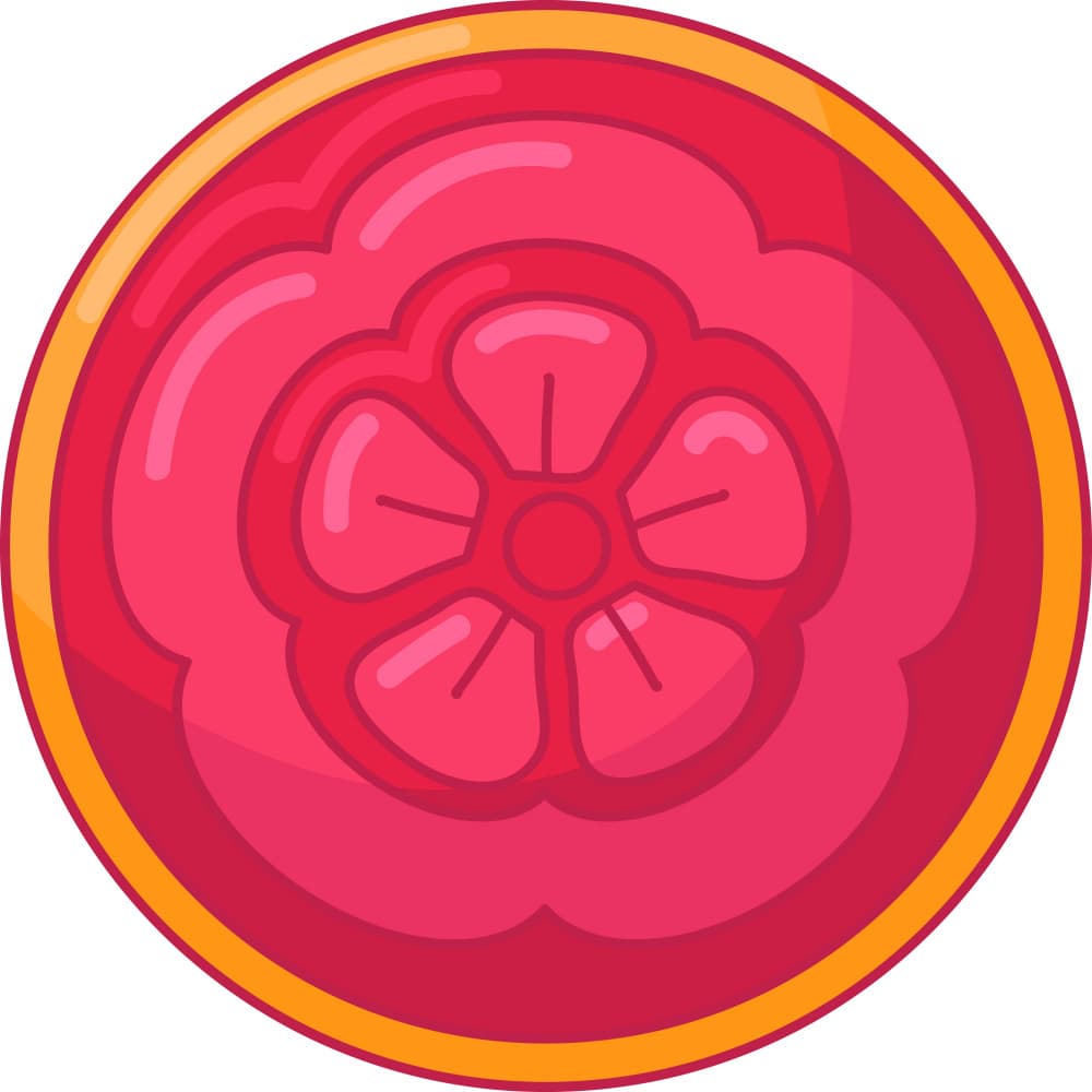 Juicy Pink Citrus by Marika Barsrsind β canvas wall art