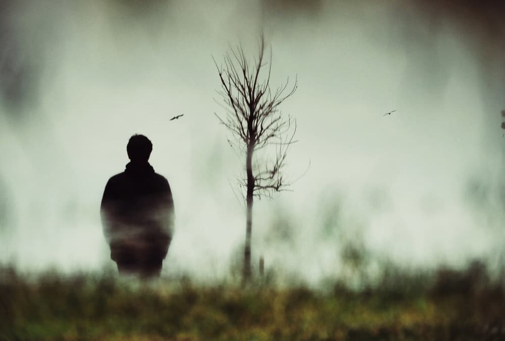 Solitary Man In Fog by Ali Ayer — canvas wall art