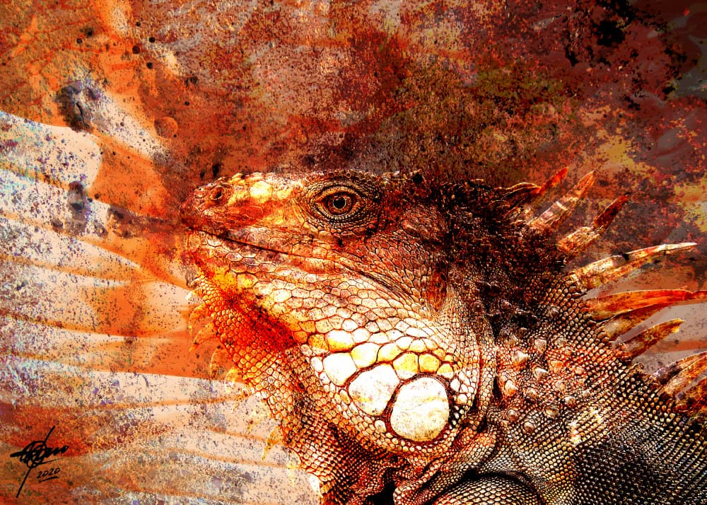 Fiery Iguana Portrait by Osvaldo Russo — canvas wall art