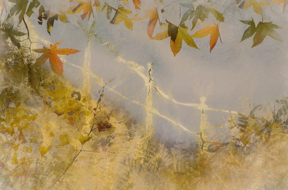 Untitled by Nel Talen — canvas wall art