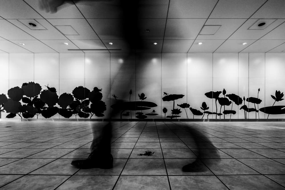 Walking Lotus Silhouette by Tomoshi Hara — canvas wall art